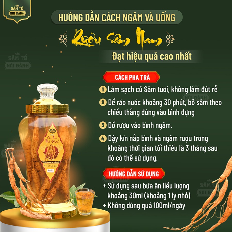 Bình rượu Sâm Nam núi Dành ngâm 3 lít. Sâm Tổ Núi Dành