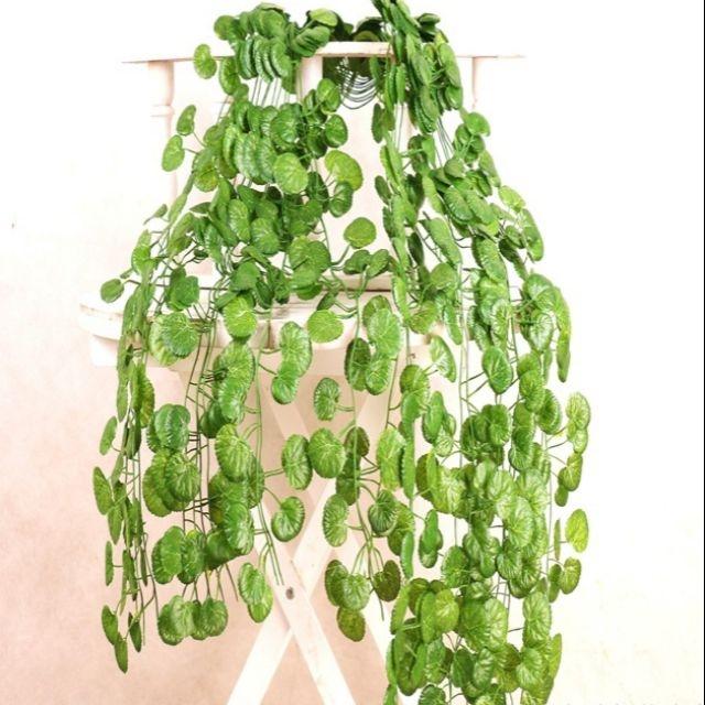 5 sợi dây leo lá hải đường trang trí cây lá giả. Thích hợp trang trí tường, quán, tạo không gian xanh...