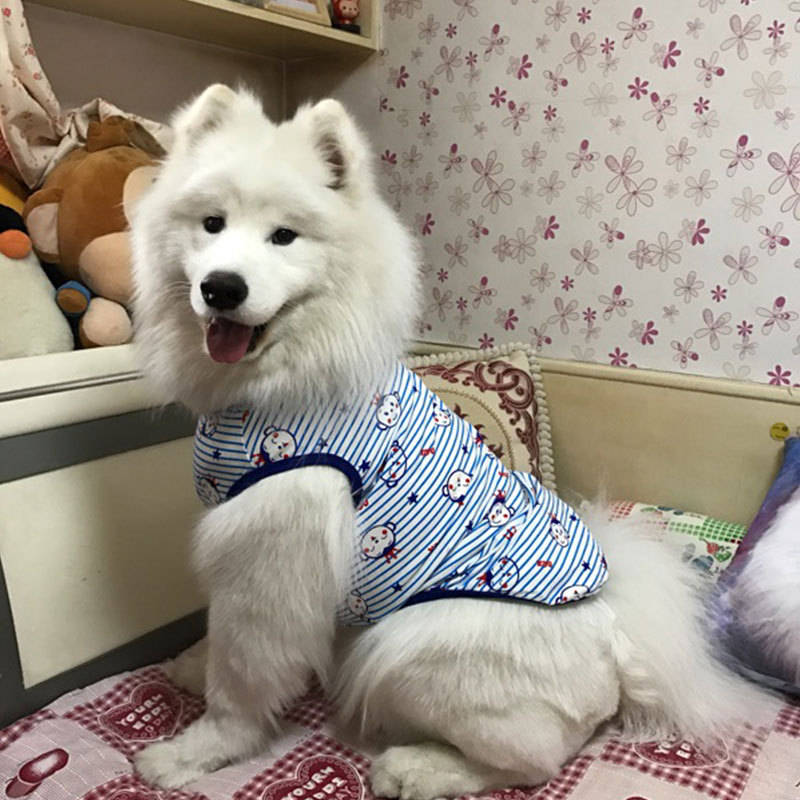 Áo thun Thái cho chó lớn big size từ 25-45kg Alaska Husky Golden Becgie Rotweiler Samoyed Phú quốc Bull Corgi vải cotton mát được chọn mẫu