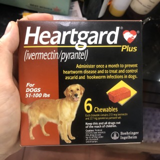 Viên nhai heartgard vị thịt bò cho chó xổ giun san cho chó Dưới 11.5kg thumbnail