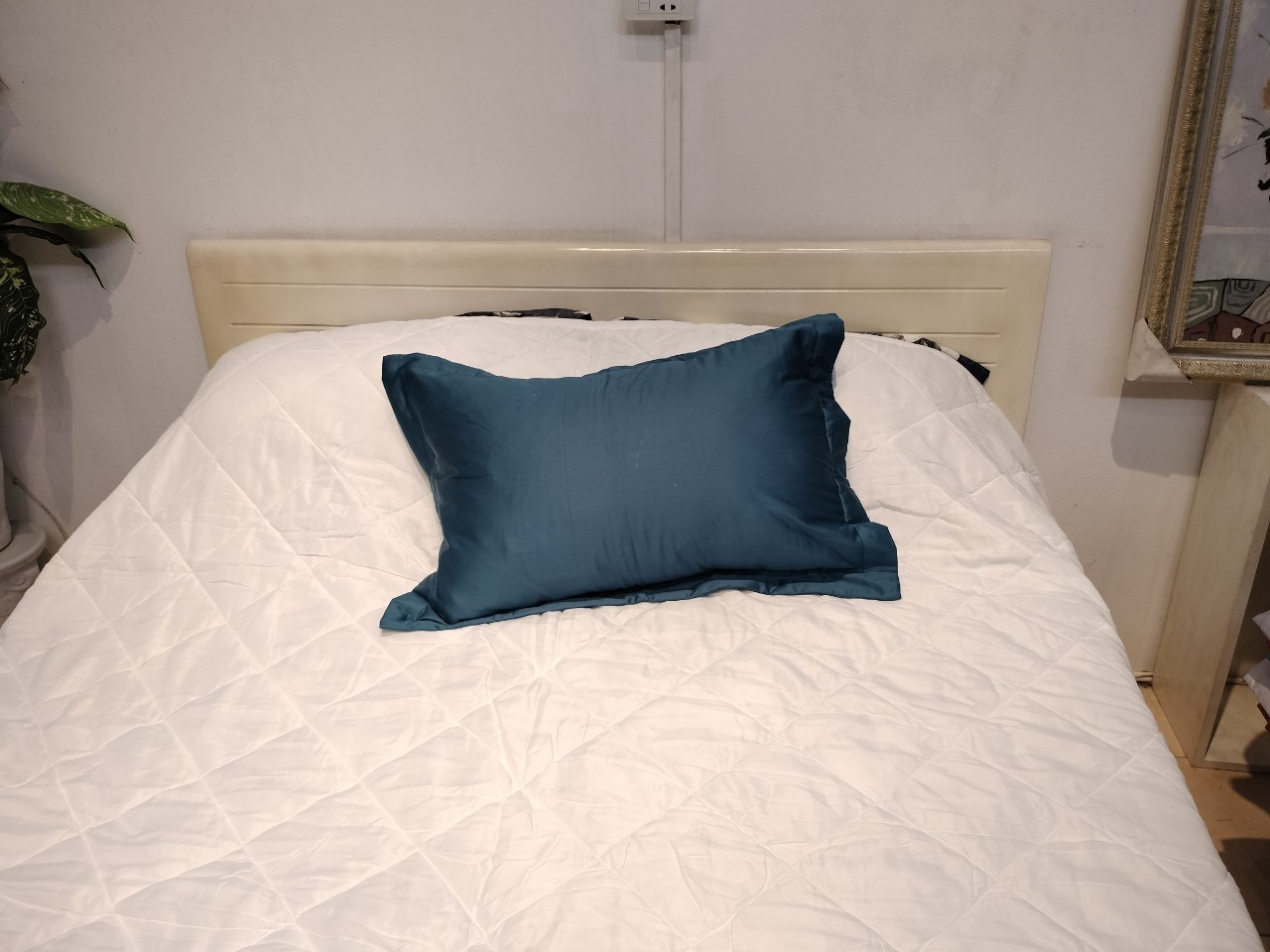 Vỏ gối Lasante Pháp Modal, Tencel 50*70