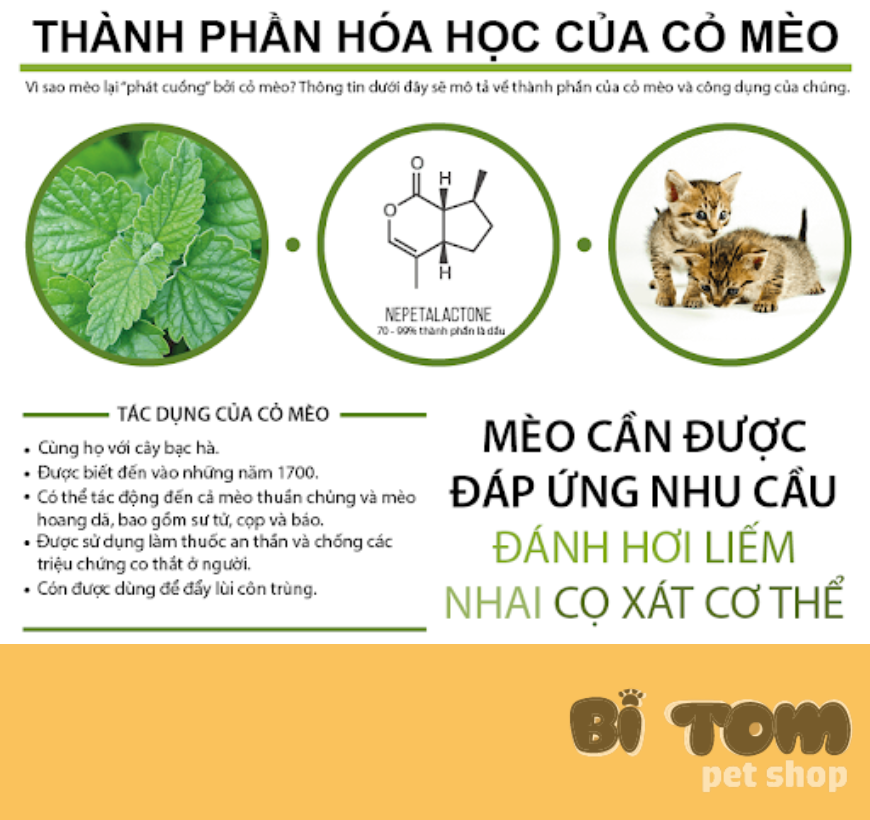 CỎ MÈO CANIP DÀNH CHO MÈO - 10G
