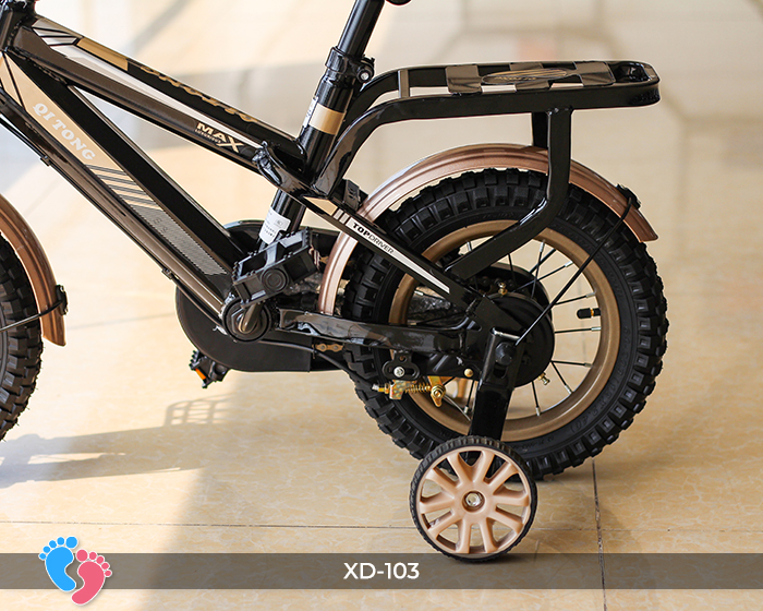 Xe đạp cao cấp cho bé BABY PLAZA XD-103