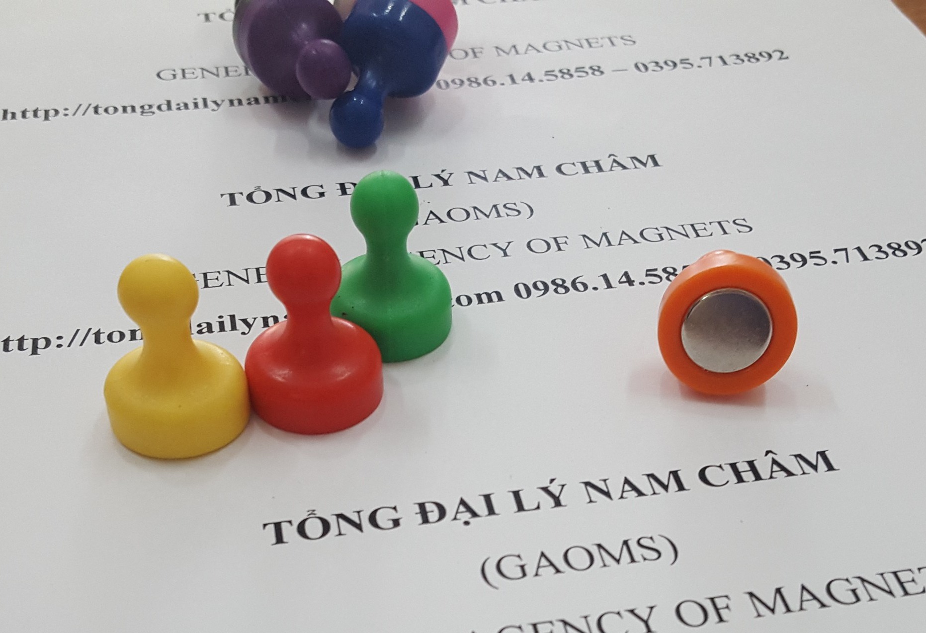 Nam châm đính bảng hình quân cờ, D19mm- 5 cái