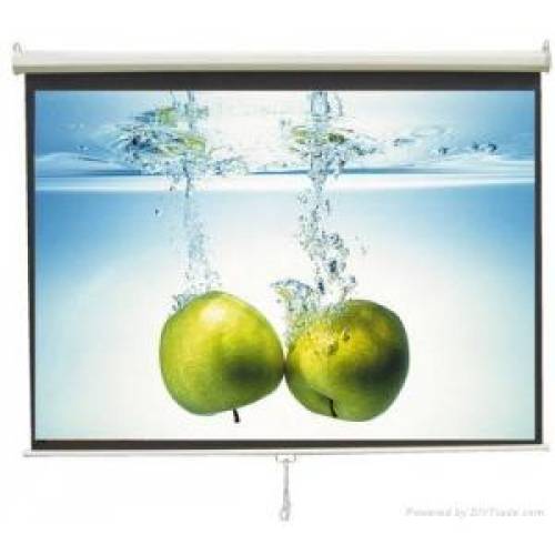 [HCM]Màn chiếu treo tường DALITE 150 inch gia re