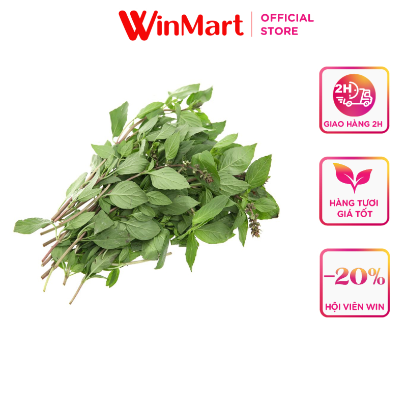 -húng quế wineco gói 50g