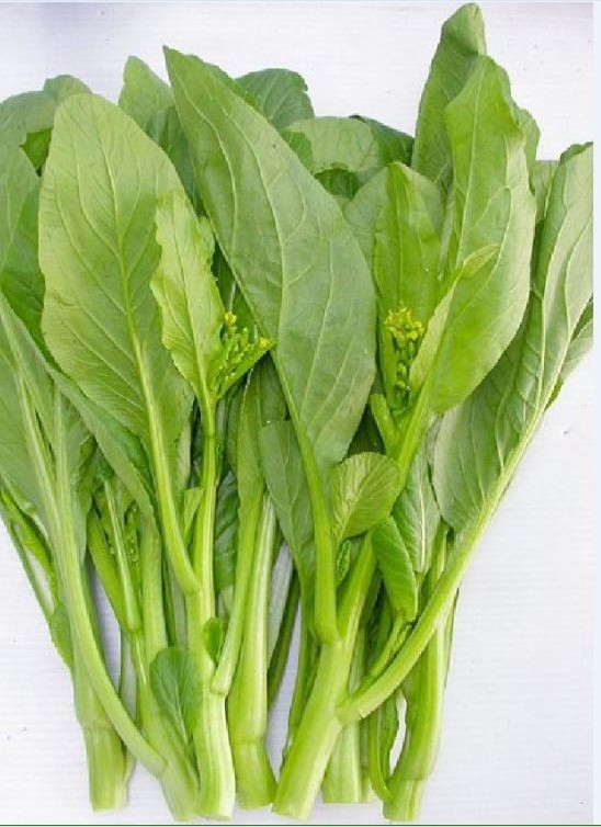 Hạt giống Rau Cải Ngồng Mập Xanh ( 20 gram/gói ) - VTNN2