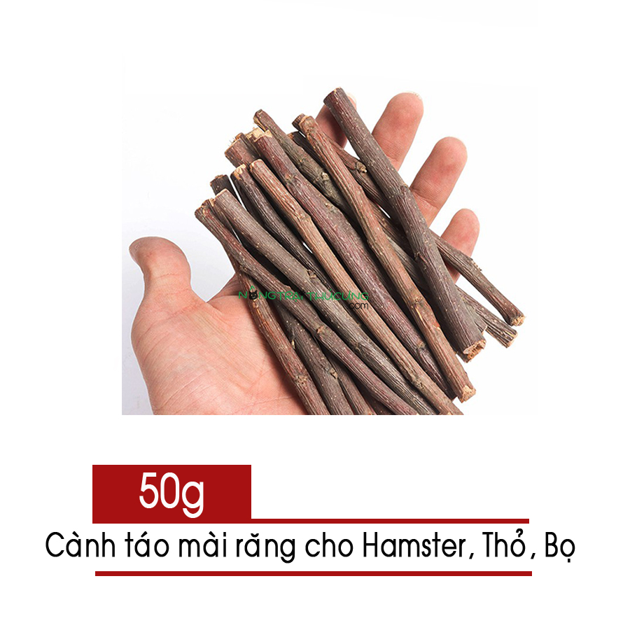 Cành táo mài răng cho Thú cưng Hamster Thỏ Bọ... - [Nông Trại Thú Cưng]