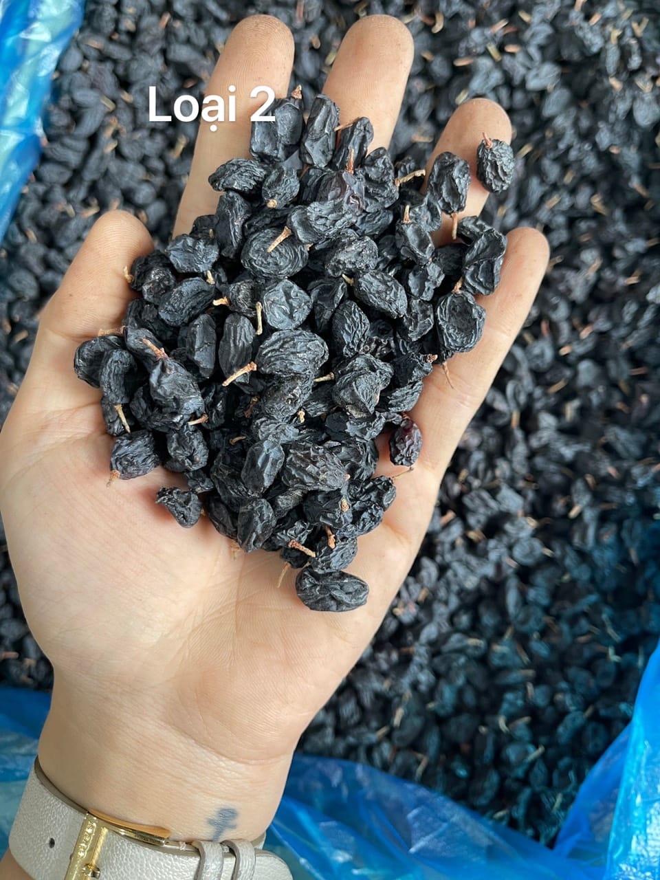 Nho đen sấy khô 500g