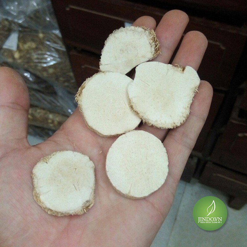 Trạch tả -EG367 trachta