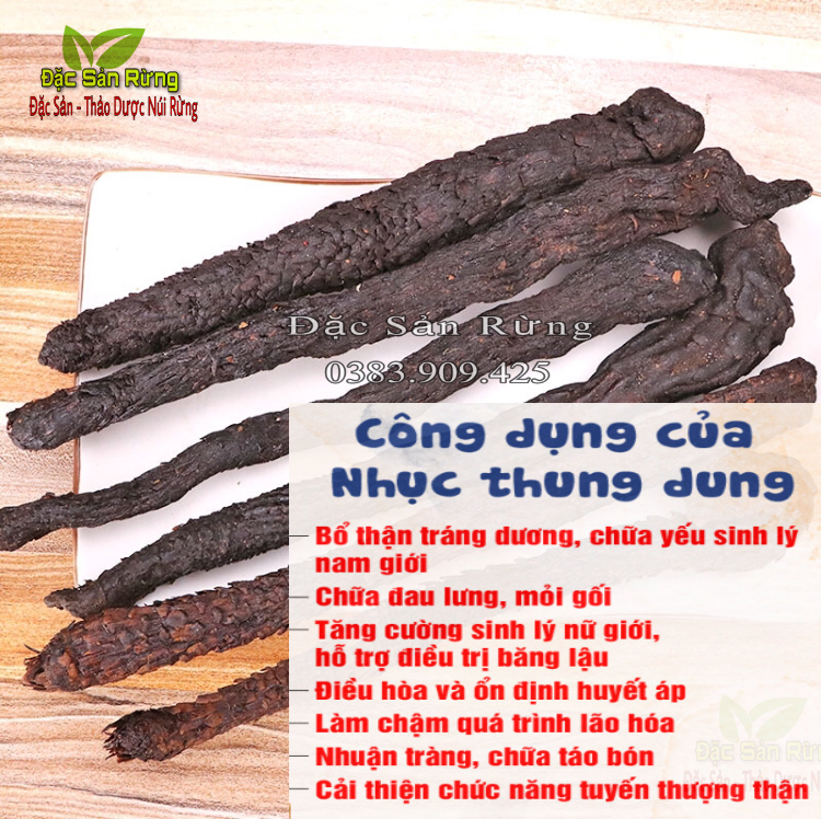 Nhục Thung Dung Khô ( 100gr  )  - Củ To Mềm