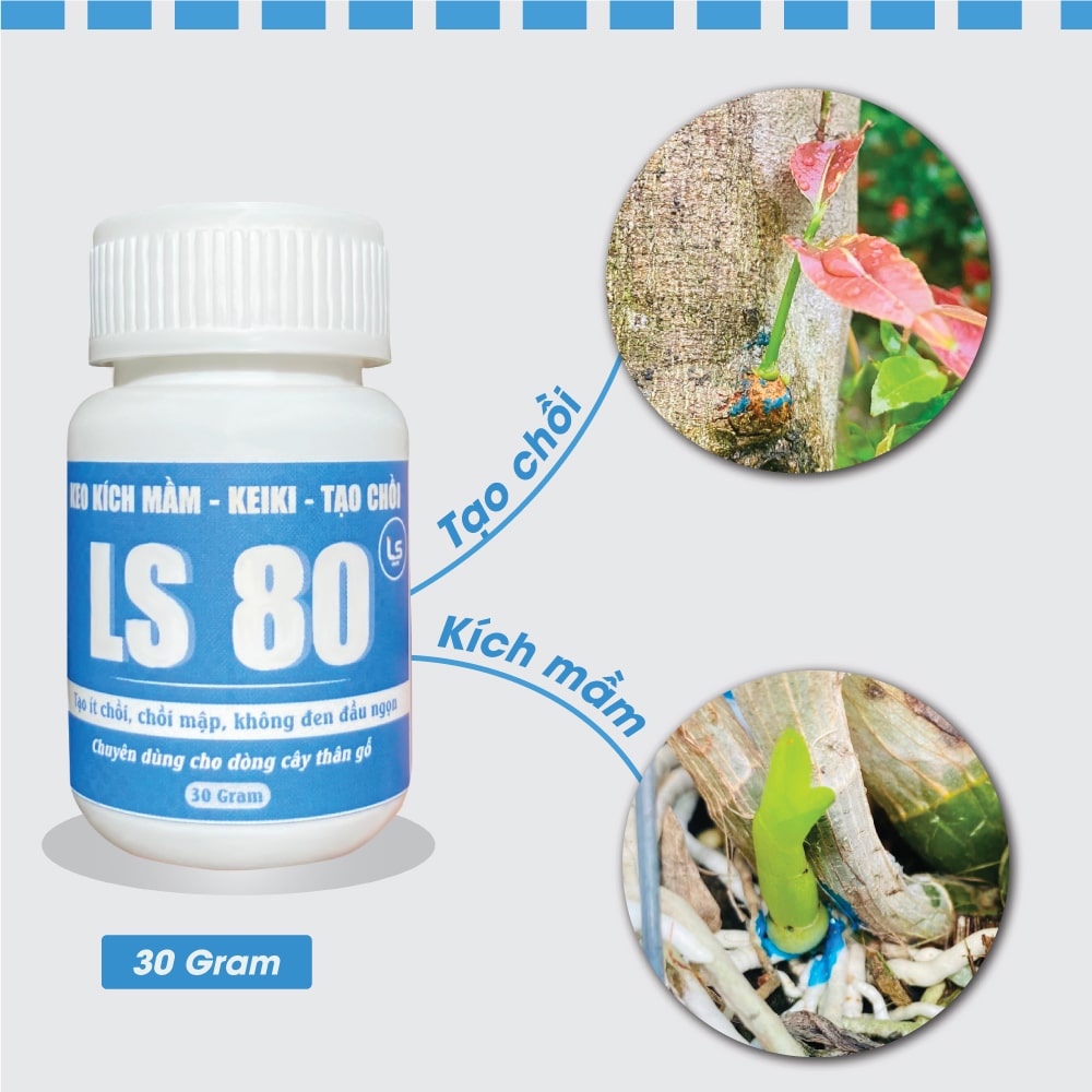 Kích Chồi LS 80 Hũ 30gam
