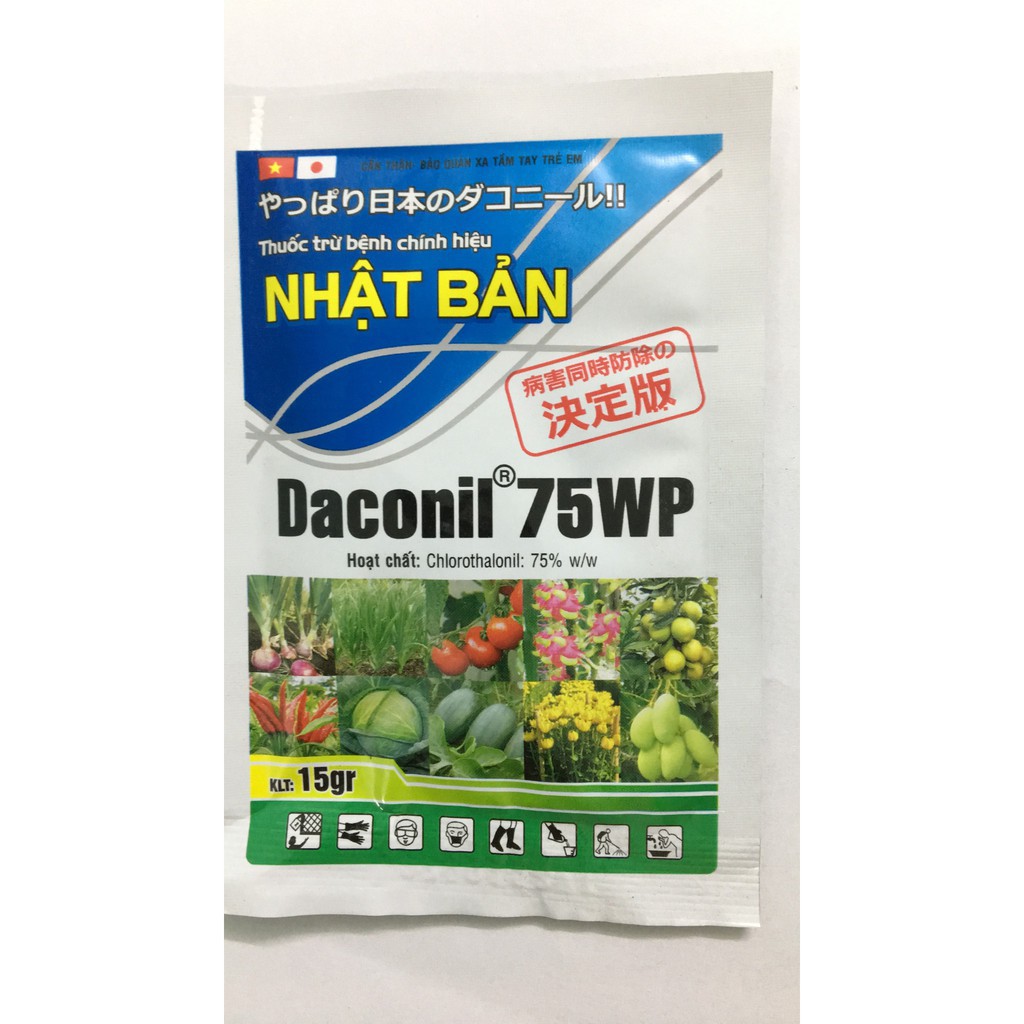 Daconil 75wp 15 gram chế phẩm t.r ừ b.ệnh nhật bản phò ng t .rị 250 loại bệnh đ c t. rị đốm lá – thán thư