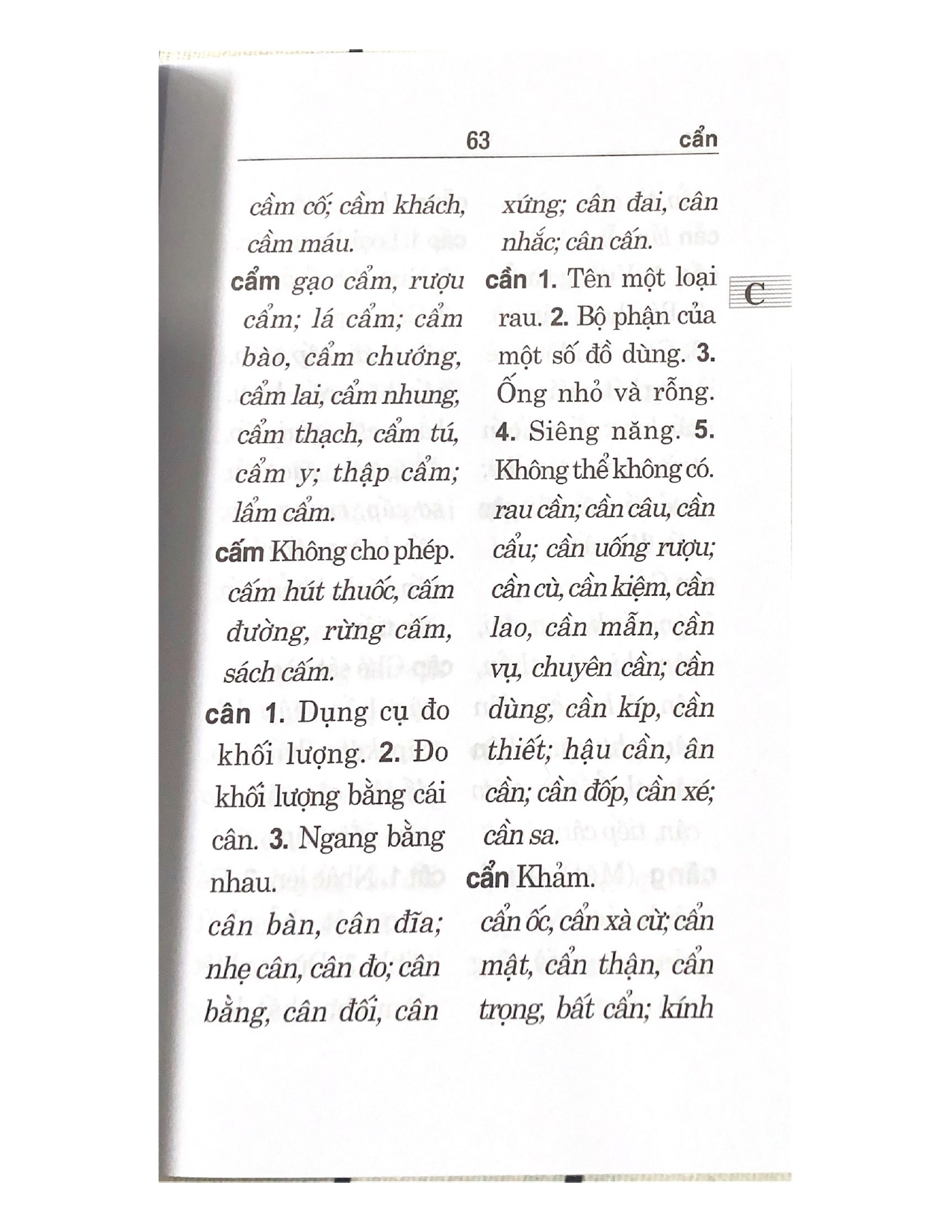 Sách - Từ Điển Chính Tả Tiếng Việt (Tác Phẩm Được Viện Ngôn Ngữ Học Thẩm Định)-Vanlangbooks