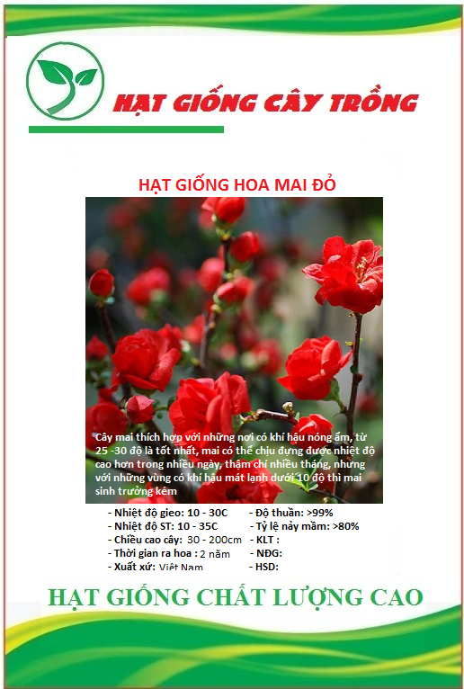 Hạt giống hoa mai Trung Quốc hoa đỏ - Gói 5 hạt