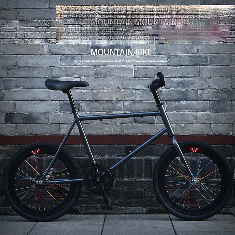 Xe Đạp Đường Phố Fixed Gear