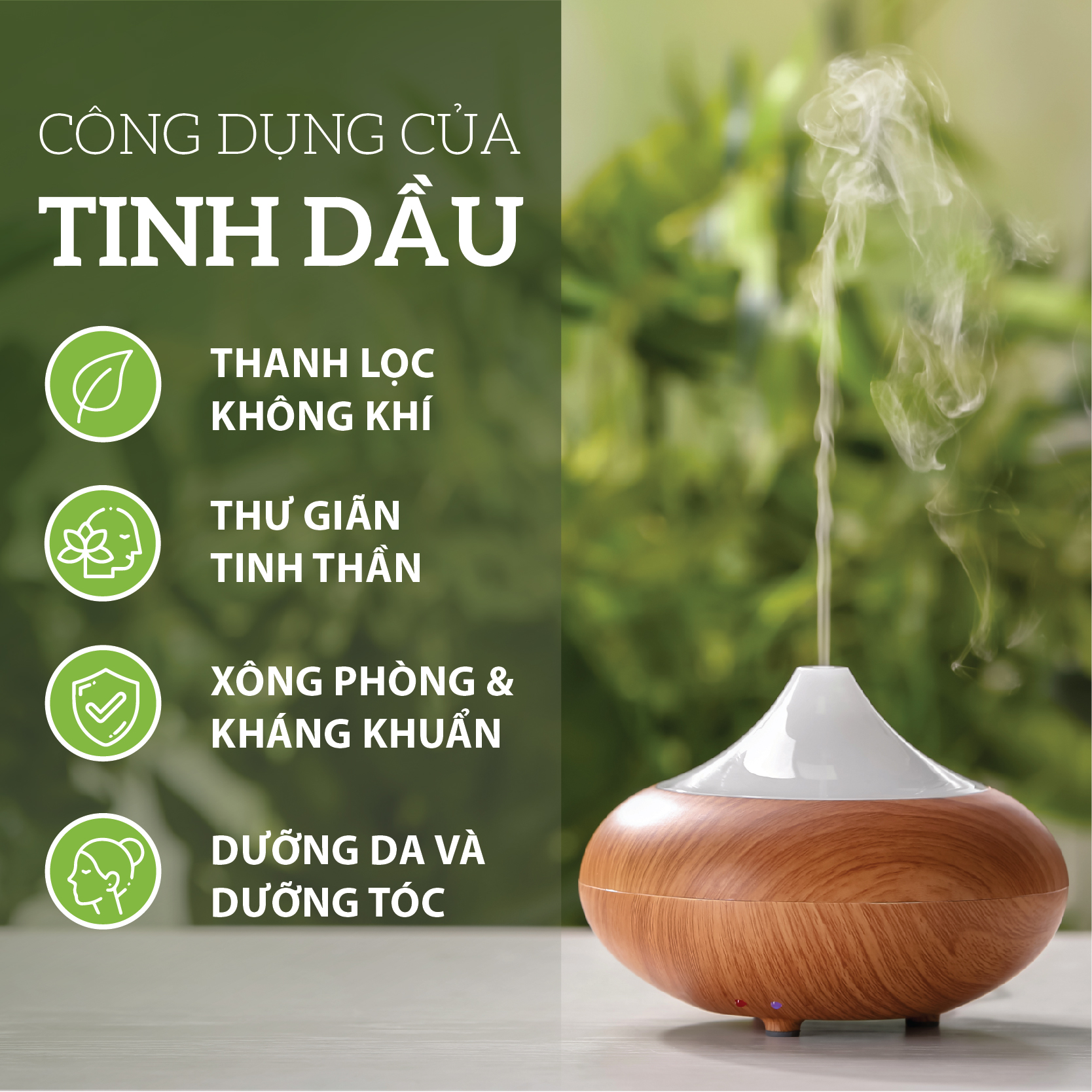 Tinh dầu Sả Java nguyên chất 100ml khử mùi, đuổi muỗi và côn trùng