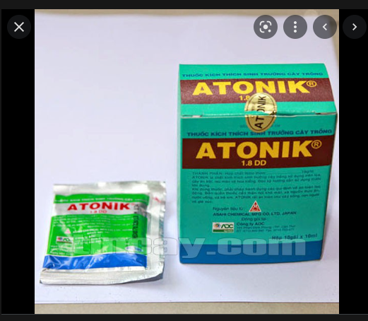 Phân bón lá ATONIK 1.SL gói 10ml