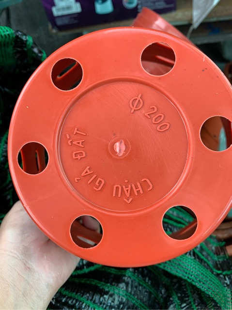 5 chậu trồng lan giả đất nung f200