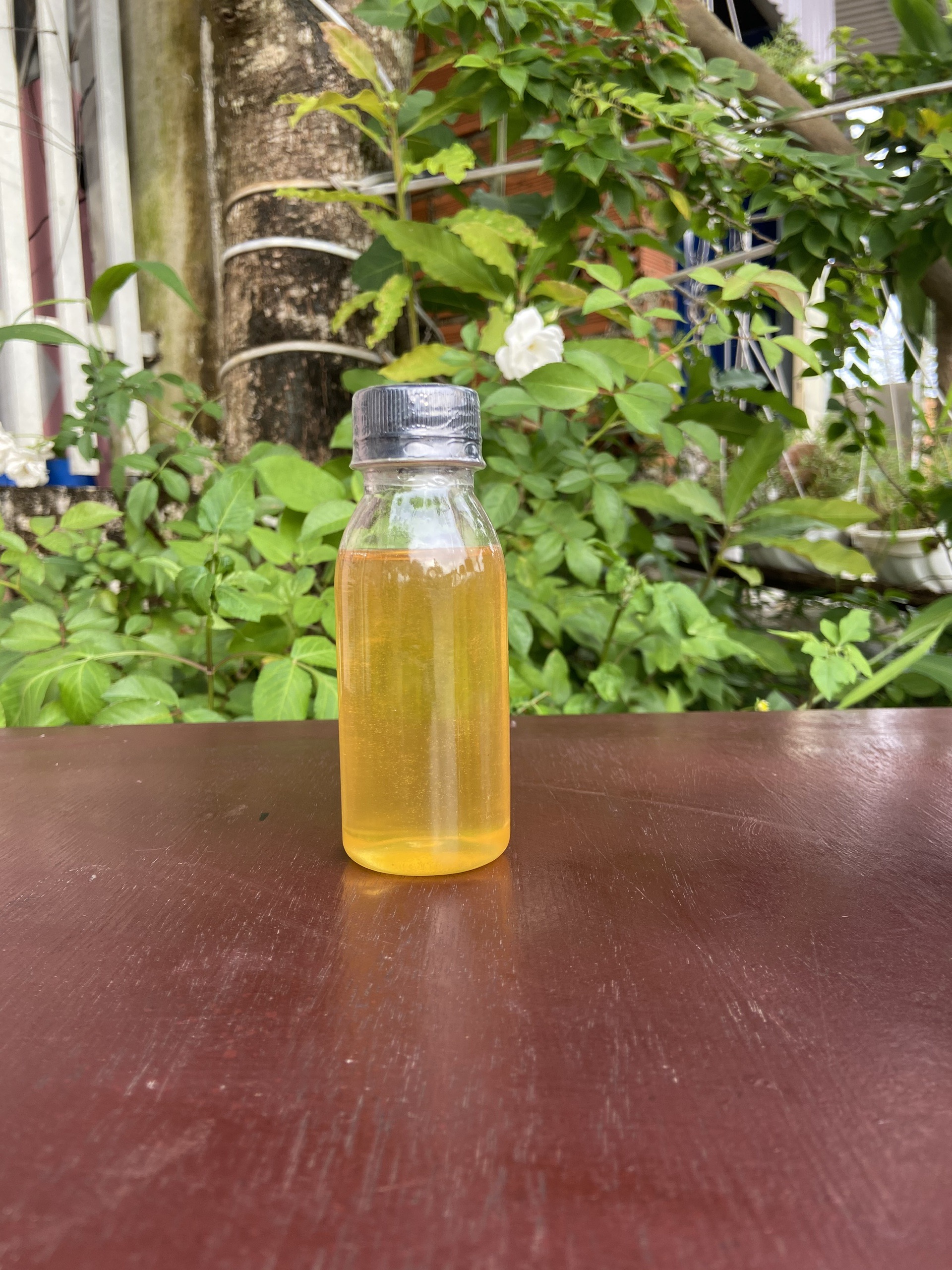 Mật Ong Hoa Cỏ Kim Mini/ Chai 100ml