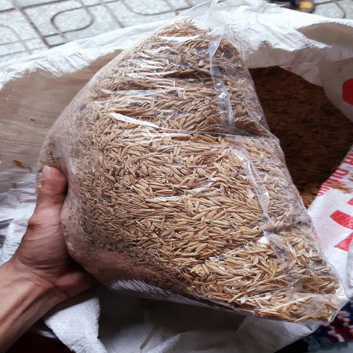 [HCM]VỎ TRẤU TƯƠI TRỒNG LAN TRỒNG CÂY LÓT CHUỒNG GÓI 500g