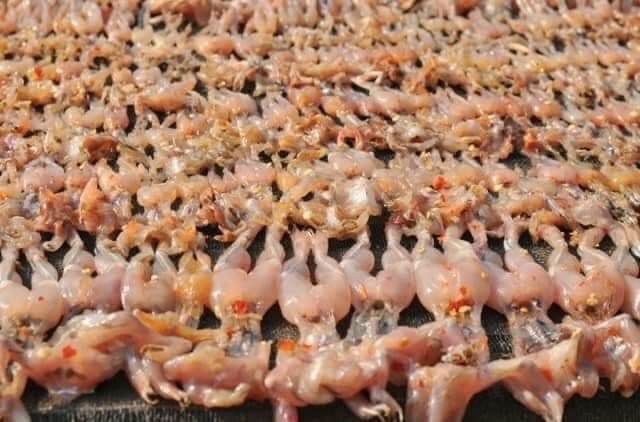 Khô nhái An Giang 500g