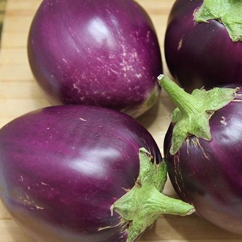 0.5 GRAM HẠT GIỐNG CÀ DĨA TÍM