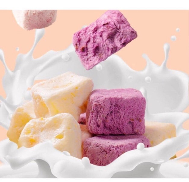 [100g, 500g] Sữa chua sấy khô, yogurt sấy khô (date mới)