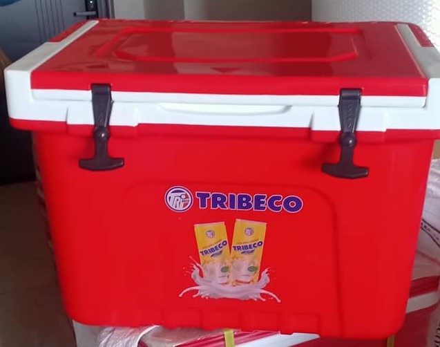 [HCM]Thùng đá 24l