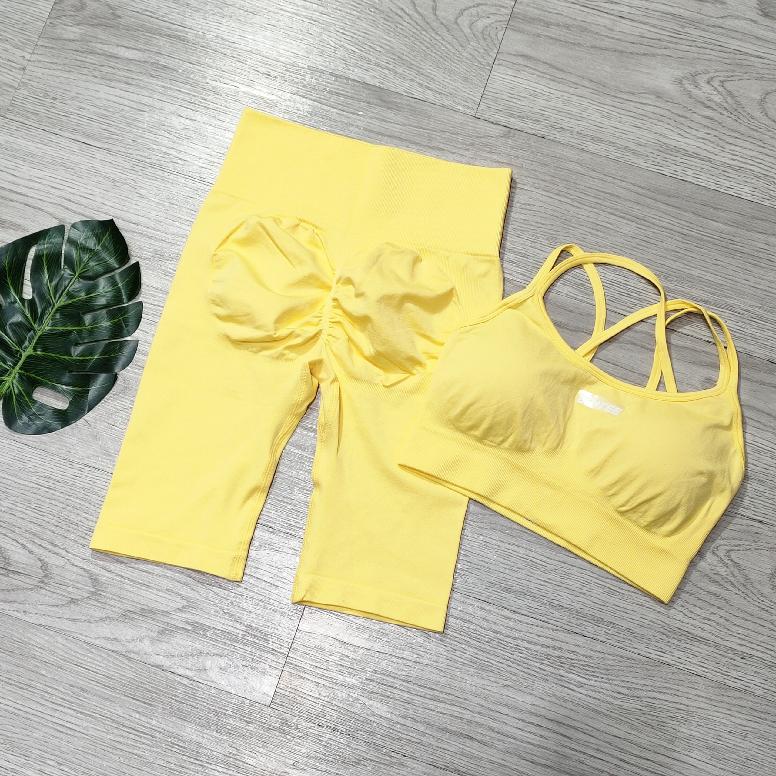 Set bộ đùi thể thao tập gym yoga nữ dệt kim cao cấp, áo bra kèm mút quần đùi chun mông cạp cao Bin Sport BN086