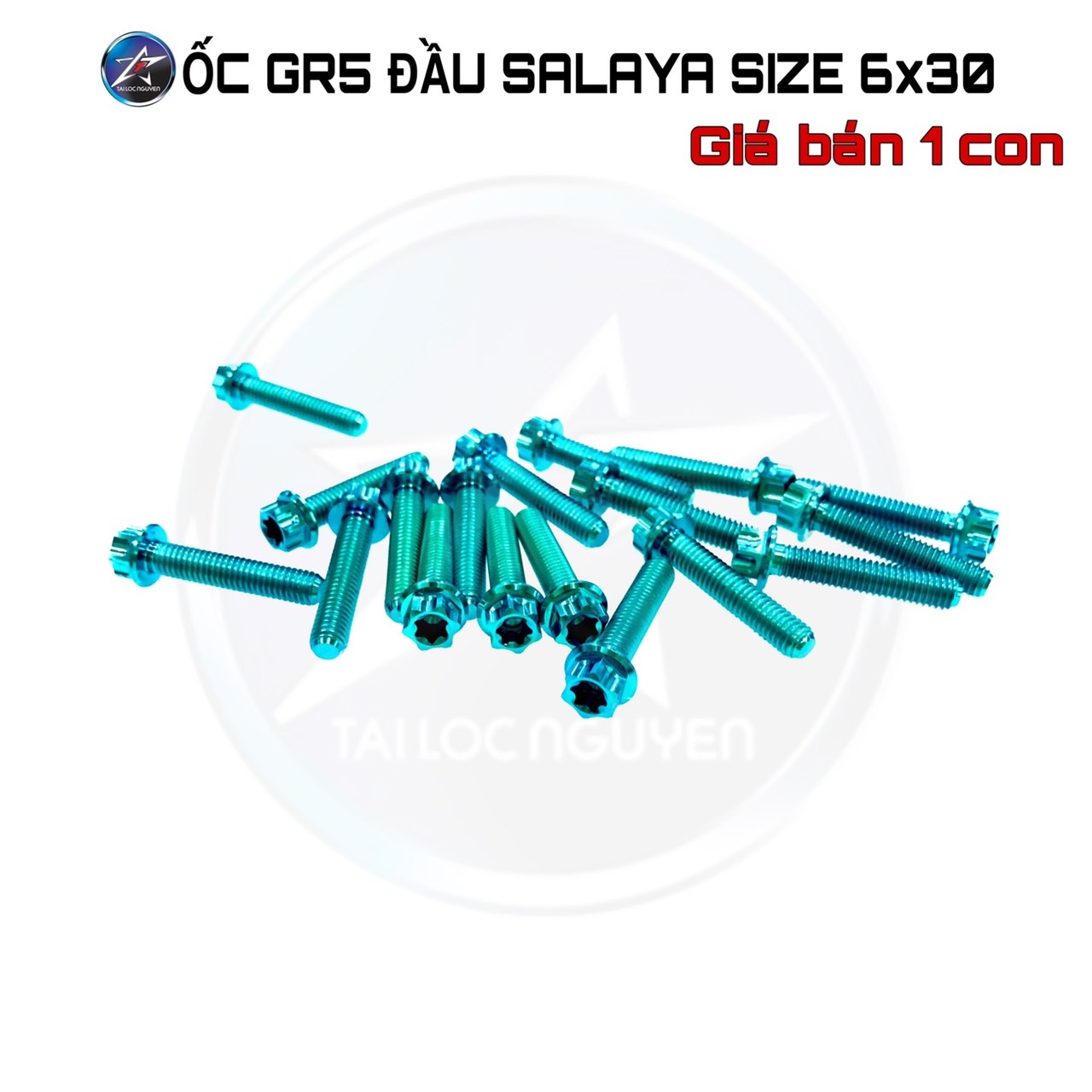 [HCM]ỐC GR5 ĐẦU SALAYA SIZE 6li