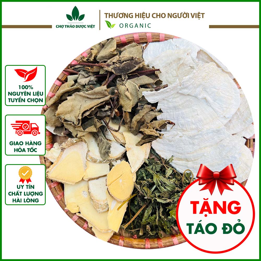 10 gói Trà thảo mộc sâm tố nữ mix cân bằng nội tiết tố, dưỡng da, ngăn ngừa lão hóa - Chợ Thảo Dược Việt