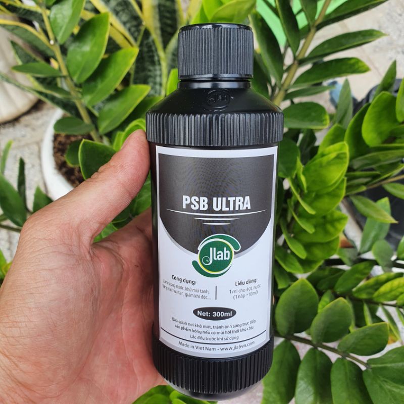 Vi khuẩn quang hợp jlab - psb ultra - guppy xanh