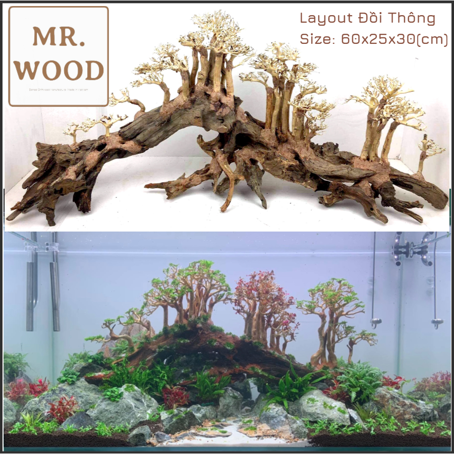 Layout Lũa Đồi Thông cho hồ thuỷ sinh 60cm- Xưởng Mr Wood