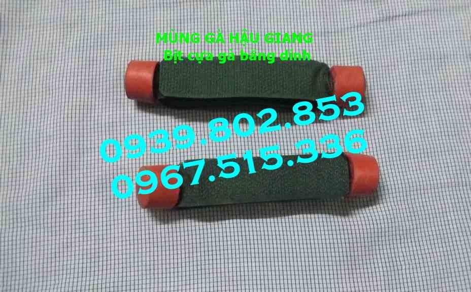 Bịt cựa gà nòi giá rẻ (1 bộ 4 cái)