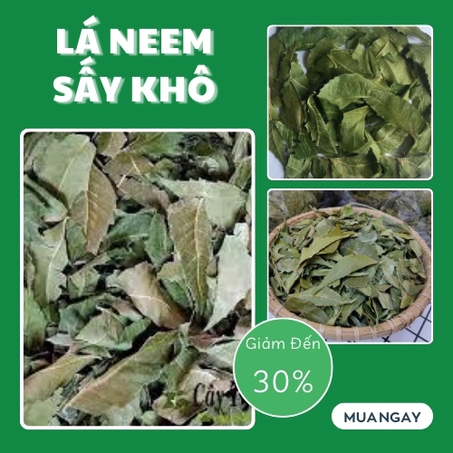 Dried Indian Neem Leaves 1kg - Specialized for Making Tea to Help Improve Liver Health - Grade 1 Product with High Quality - Tan Phat Herbal Medicine