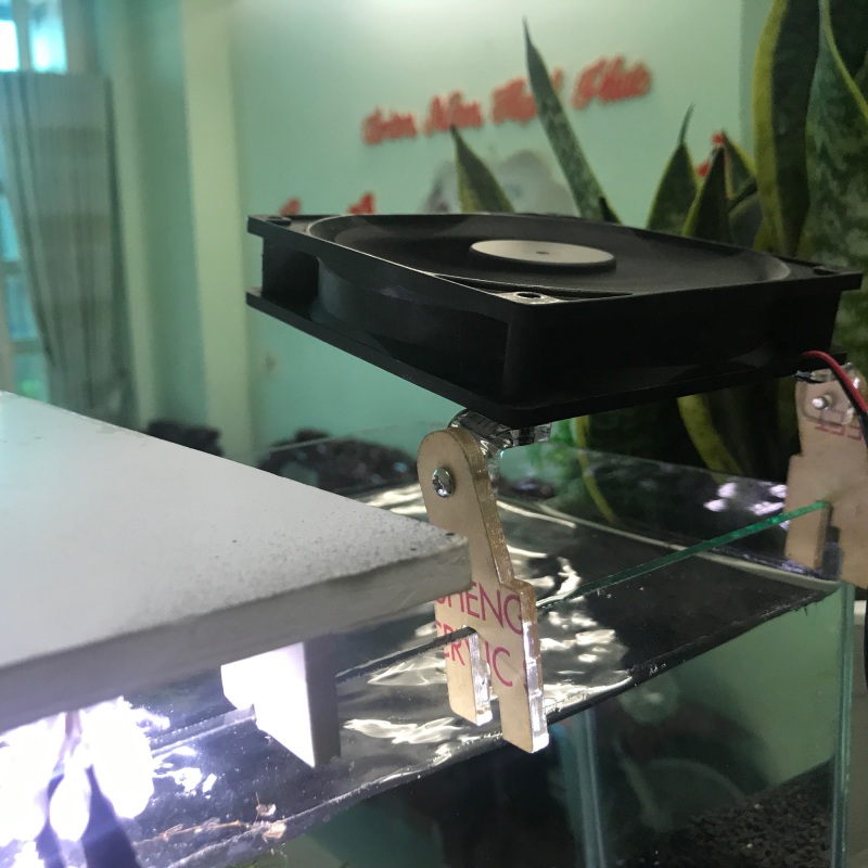 Quạt làm mát hồ thuỷ sinh