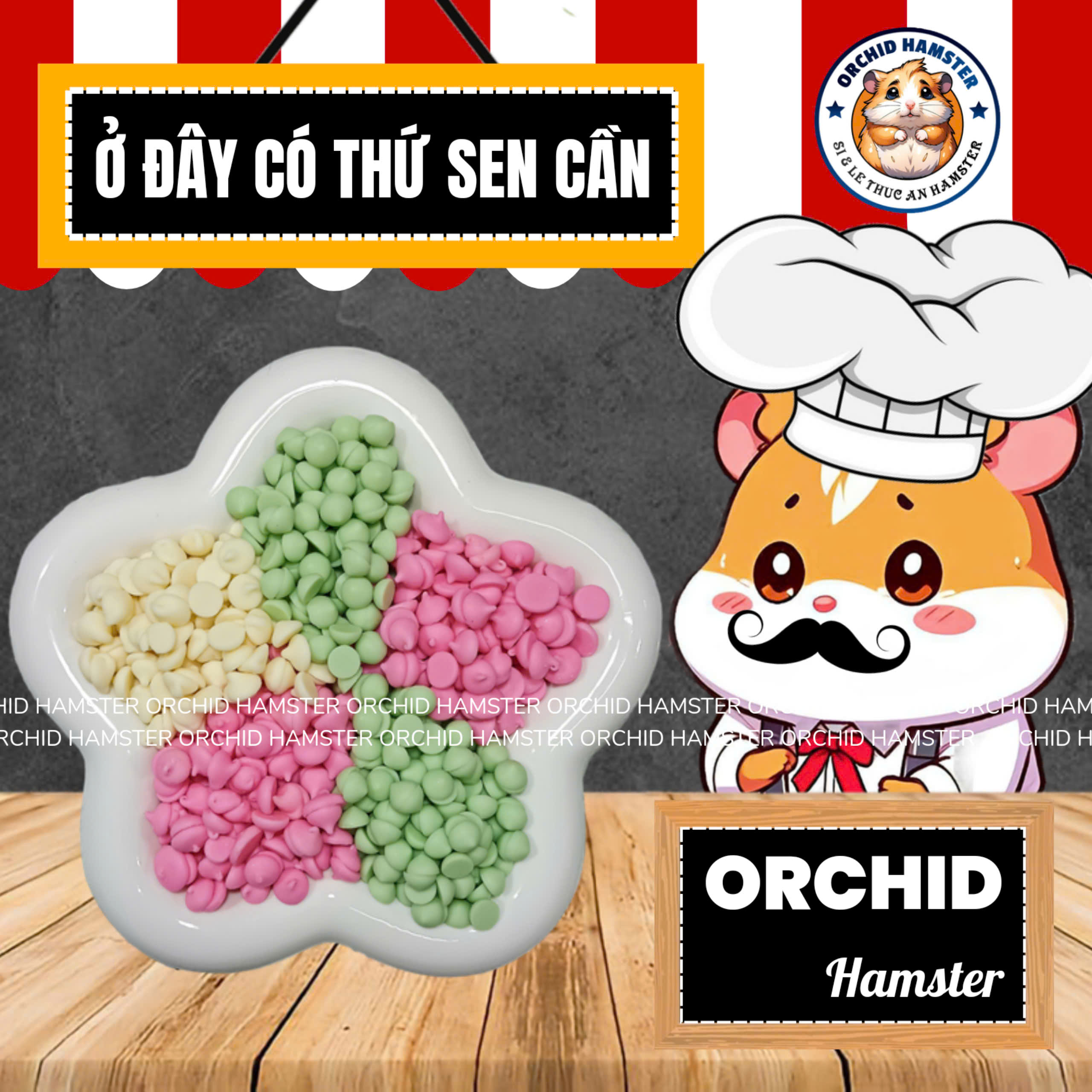 Drop Sữa Hamster 3 Vị Thơm Ngon Vỗ Béo Dinh Dưỡng Mỗi Ngày