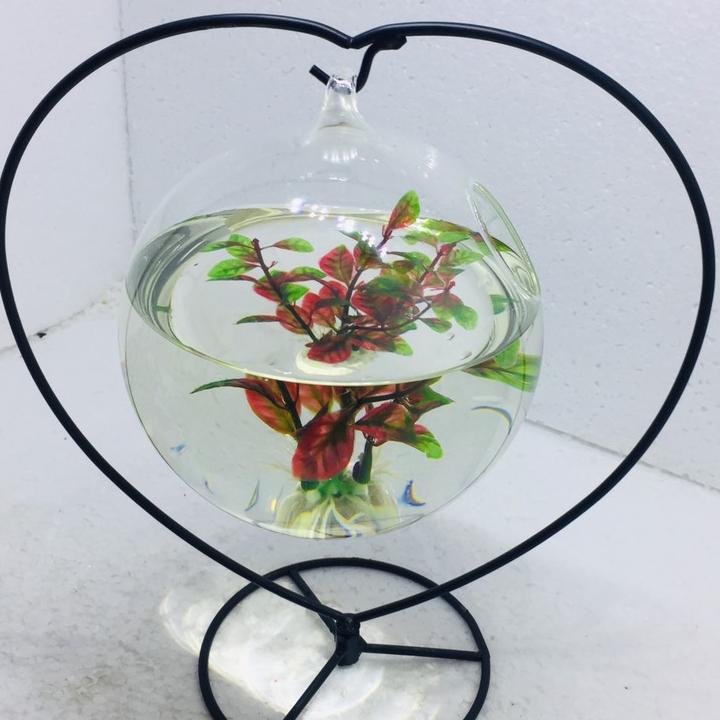 Bể cá mini để bàn treo TIM 16