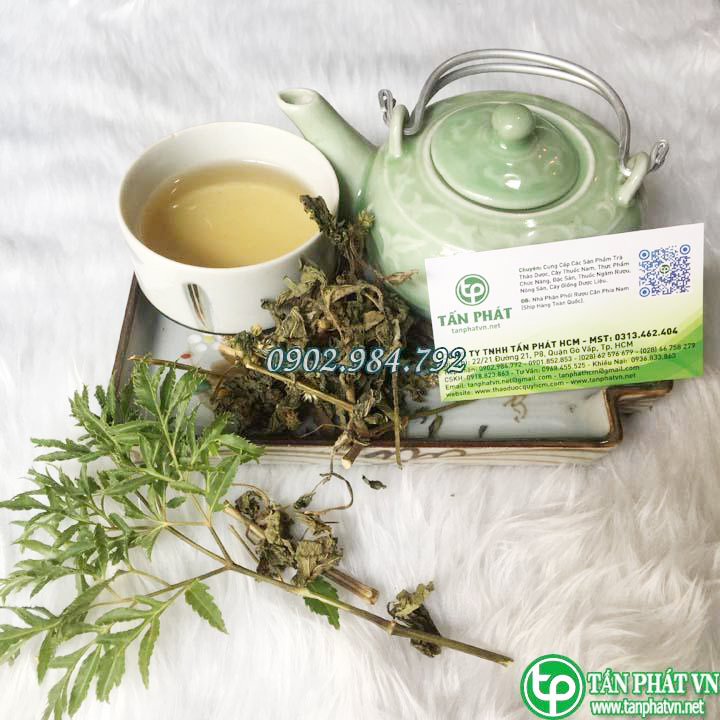 [New Arrivals] Dried Stinkweed Plant 500g (Fragrant, Clean) - Tan Phat Herbs