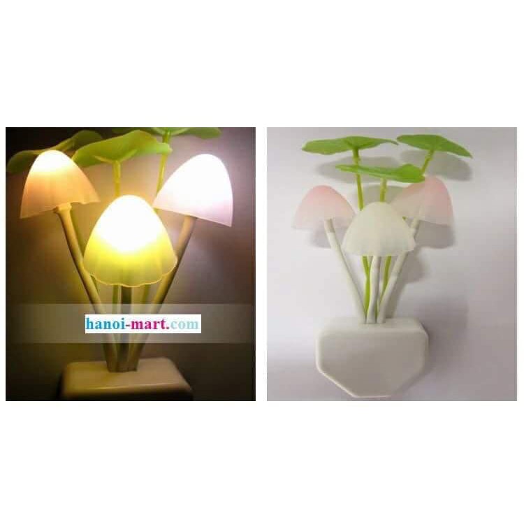 Đèn ngủ nấm cảm ứng ánh sáng