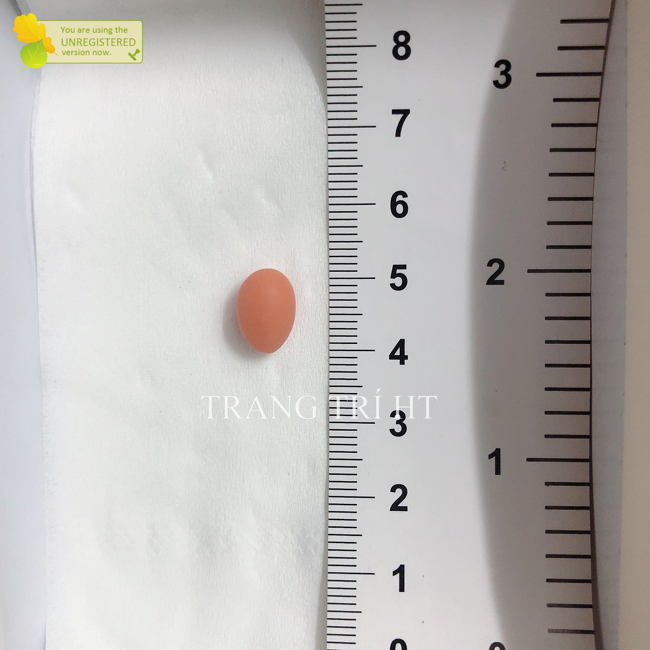 [HCM]Mô Hình Trứng Gà Vịt Cút Charm Slime [1 cái ]