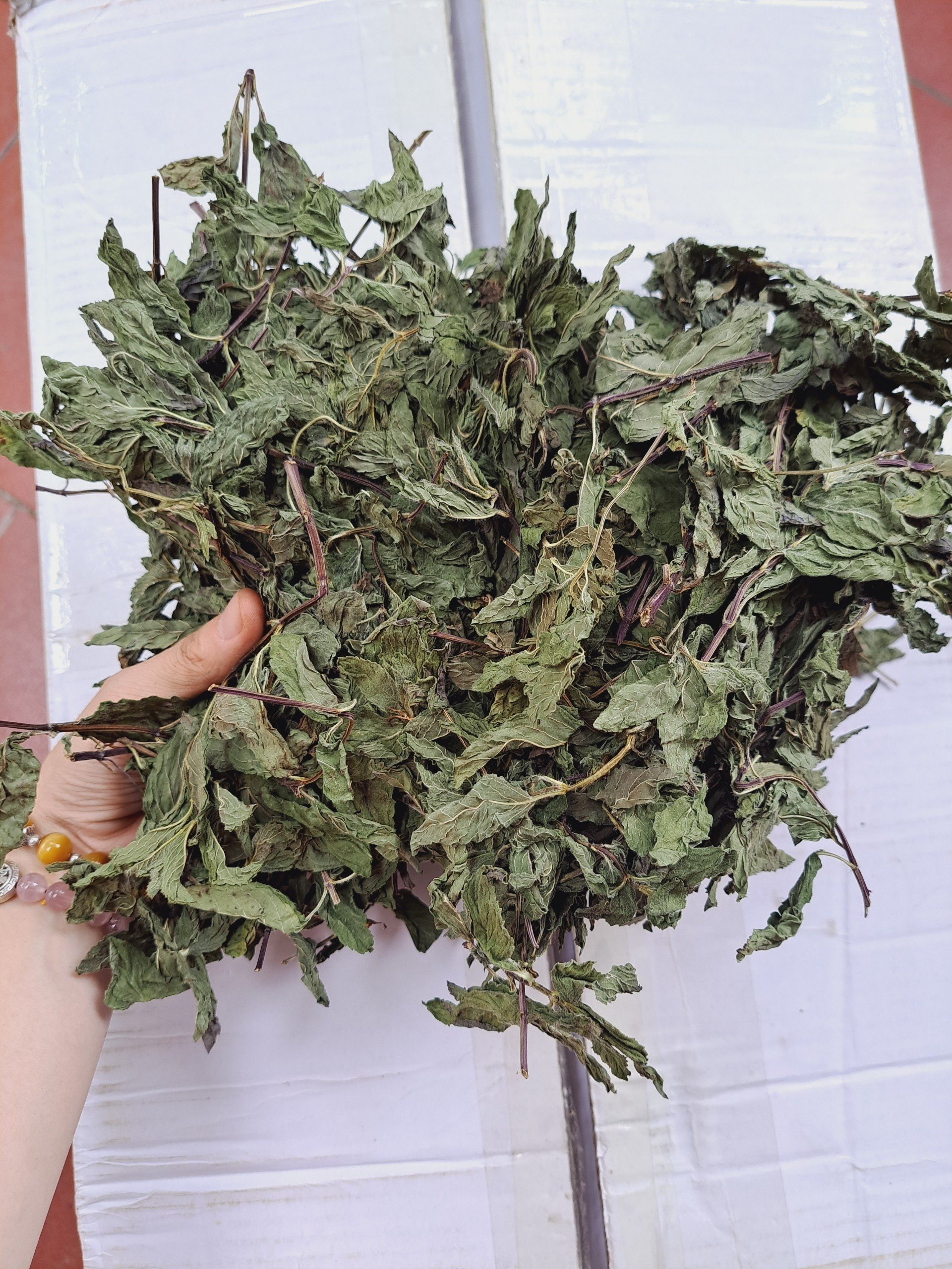 Bạc Hà Sấy Khô (Trà Bạc Hà) Lon 100Gram