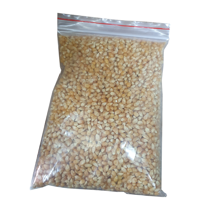 500gr Bắp nổ - mỹ(dùng làm bắp rang bơ)