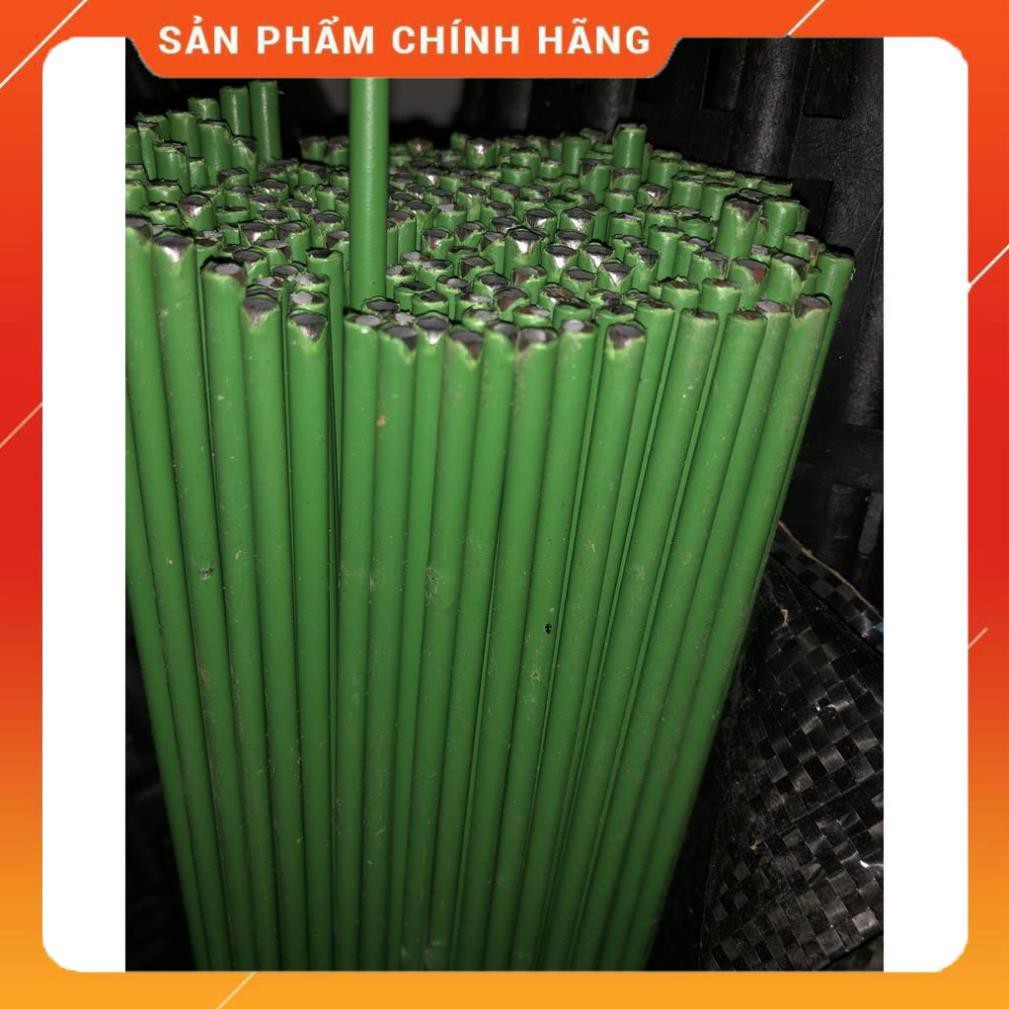 1kg que cắm lan xanh dài 1m.