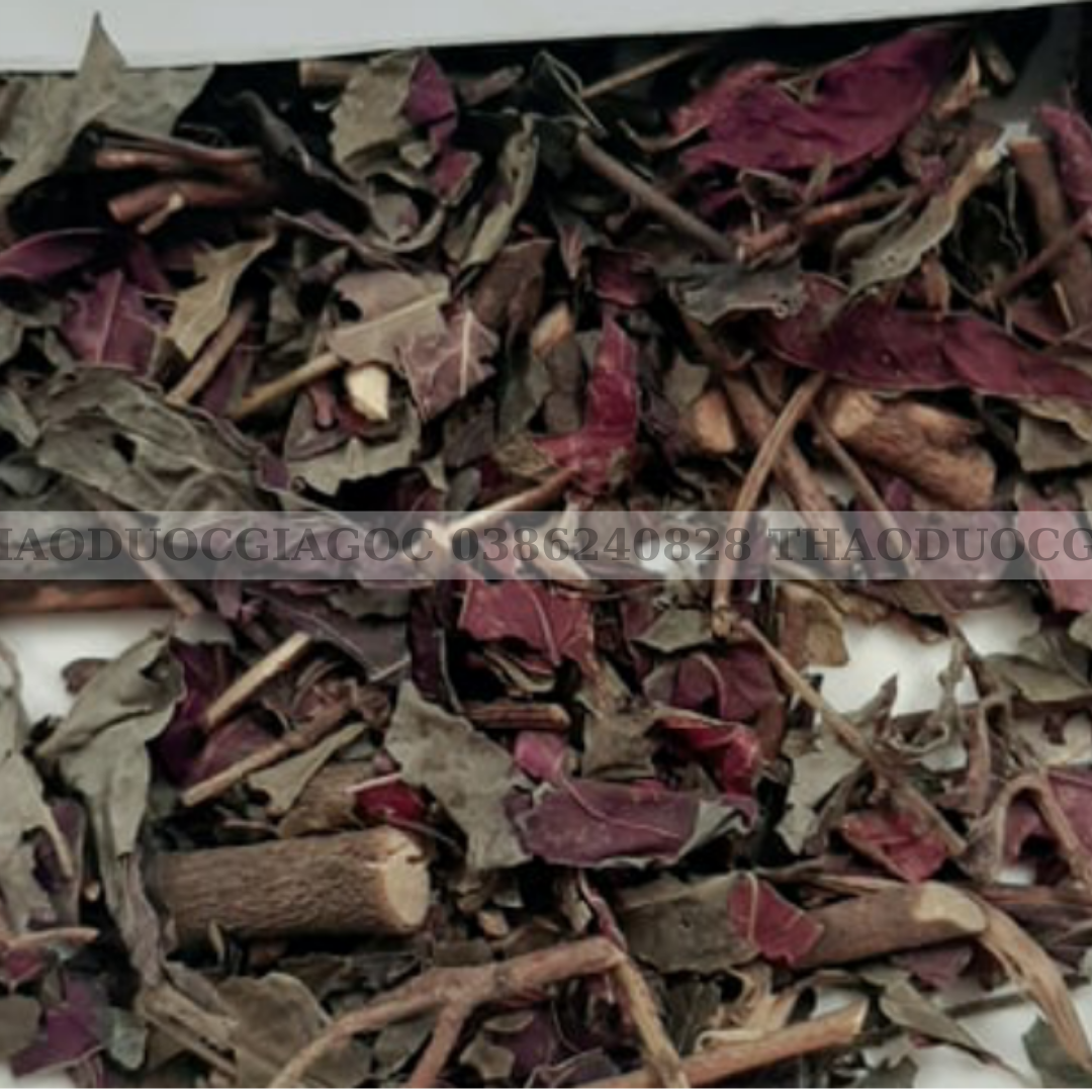 1kg lá đơn đỏ khô thơm sạch