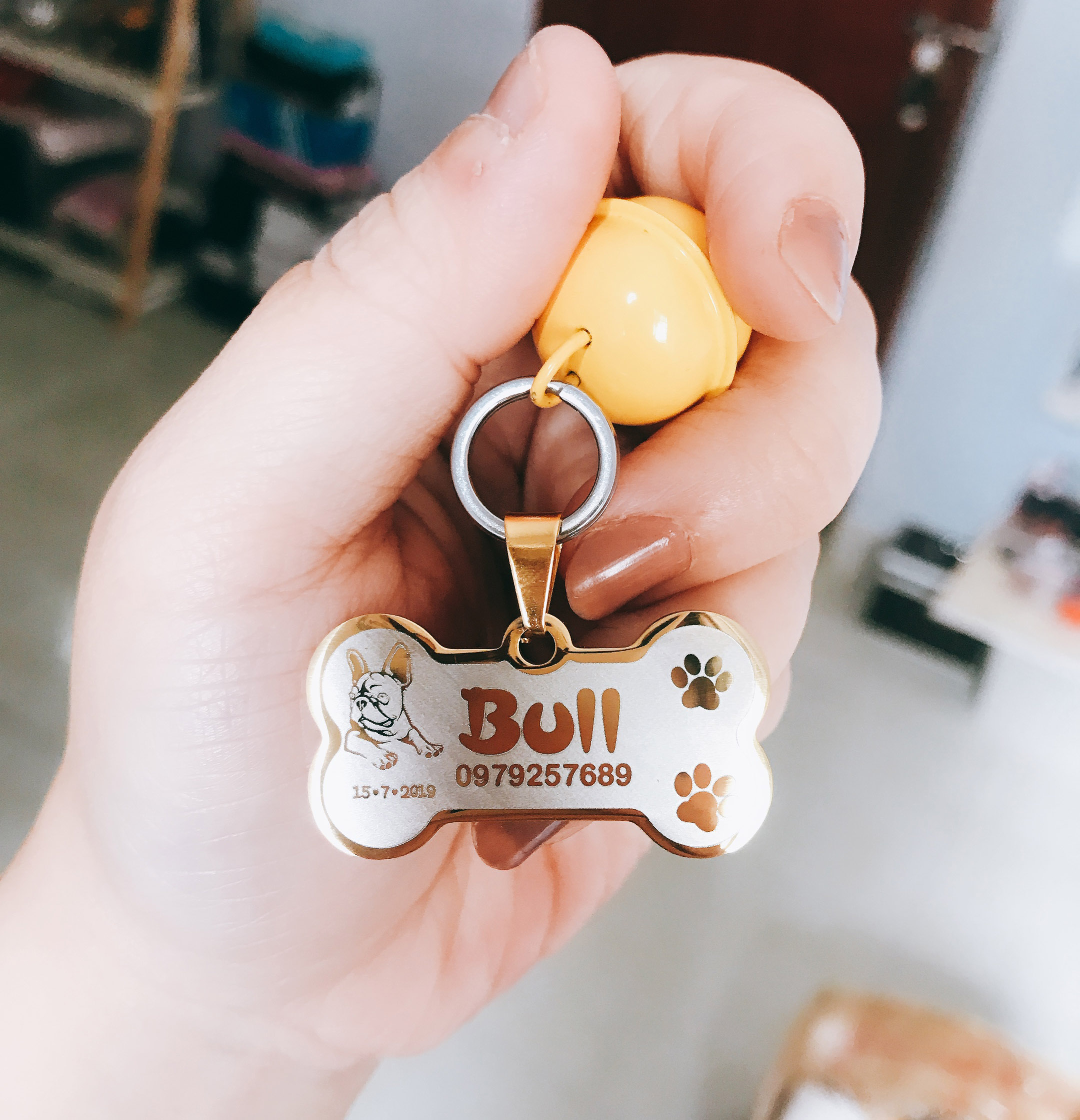 Thẻ tên Thú cưng - Inox chữ vàng (Tặng kèm chuông)