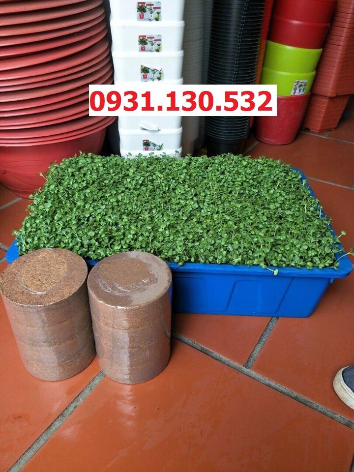 4 Viên Nén Đất Hữu Cơ Trồng Rau, Trồng Cây