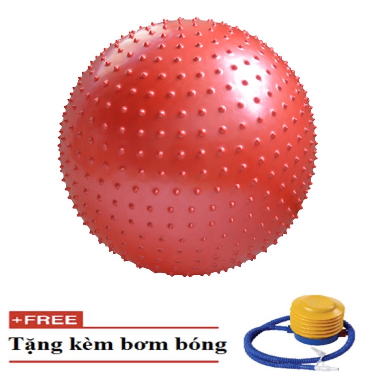 Bóng tập Yoga có gai 75cm