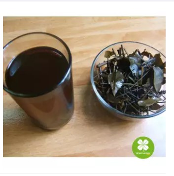 Đơn lá đỏ (1kg khô) - DTX150